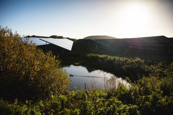 Solcellepark med lille sø i forgrunden