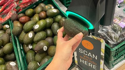 Avocado scanner
