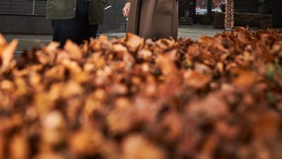 Salling i Rødovre Centrum 20