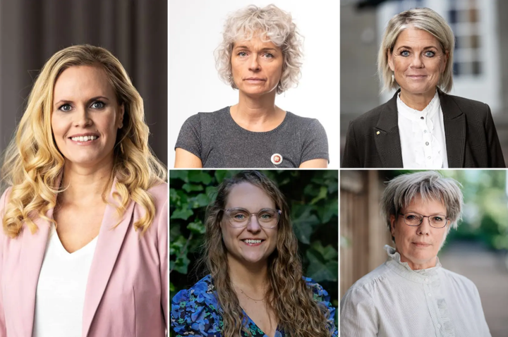 Fra venstre: Laura Klitgaard, IDA, Dorthe Boe Danbjørg, DSR, Tanja Nielsen, FOA, Mia Dahl Jensen, Ergoterapeutforeningen og Jeanette Præstegaard, Danske Fysioterapeuter.