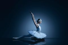 Solodanser Wilma Giglio som svaneprinsessen Odette. Foto: Klaus Vedfelt