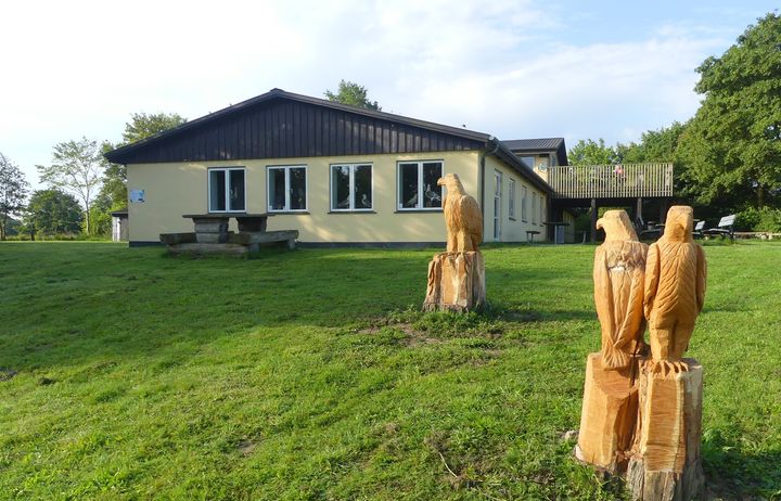 Naturskolen med træskulpturer af havørne.