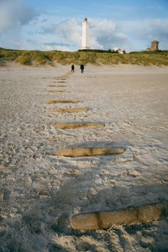 I udstillingsperioden kan besøgende deltage i flere workshops. Sammen billedkunstner Tue Greenfort kan gæster blandt andet støbe små muslinger af naturens egne materialer.