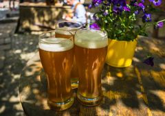 Flere danskere vælger alkohol fra i en kortere eller længere periode, viser en ny Voxmeter-undersøgelse på vegne af Blå Kors Danmark. Foto: Pixabay