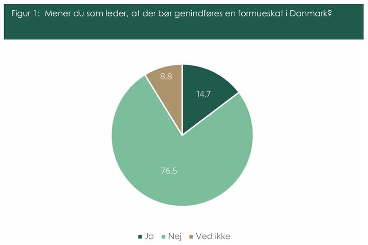 Tallene i felterne angiver den procentdel af de adspurgte, som har svaret henholdsvis ”Ja”, ”Nej” og ”Ved ikke”. Figuren viser data for privatansatte ledere.