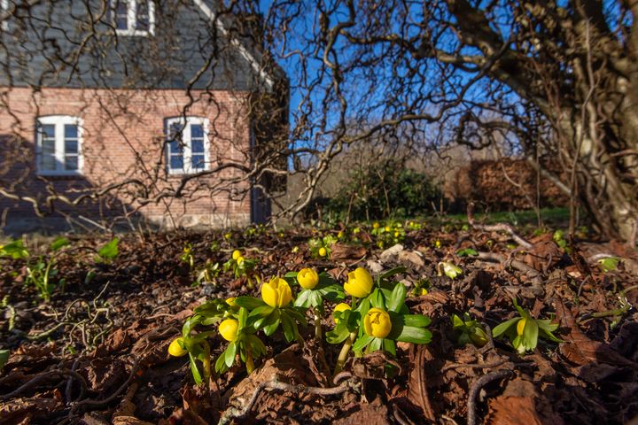 Boligmarkedet går stærkt ind i foråret, viser home og Danske Banks boligbrief for februar.