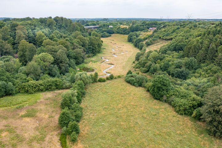Luftfoto af et grønt ådalslandskab med en snoet å, åbne engarealer og tæt skov på begge sider.