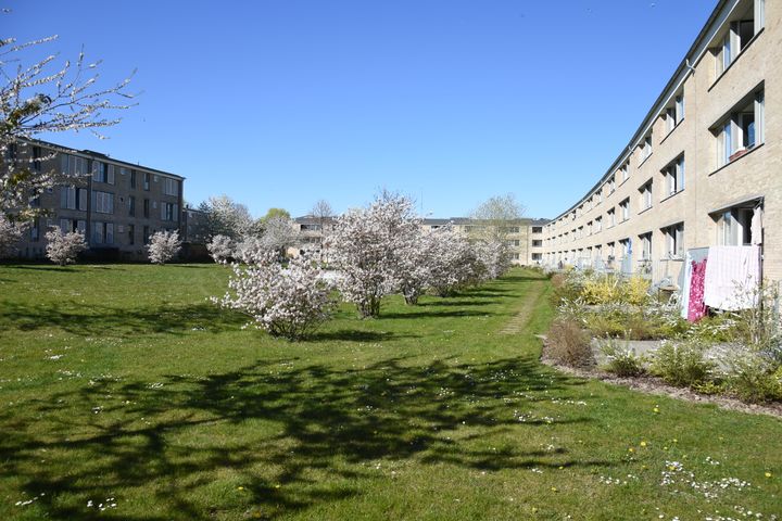 Tingbjerg er arkitektonisk arvesølv – flotte bygninger i et smukt samspil med grønne gårdrum og omgivende landskaber. I gårdrummene opføres i disse år rækkehuse, og dermed ændres bydelen markant. Foto: Claus Bech-Danielsen