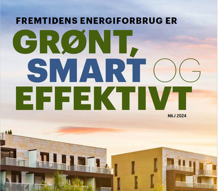 Fælles udspil fra Dansk Erhverv og TEKNIQ Arbejdsgiverne om fremtidens energiforbrug.