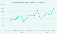 Kilde: Danmarks Statistiks tabel BIL53