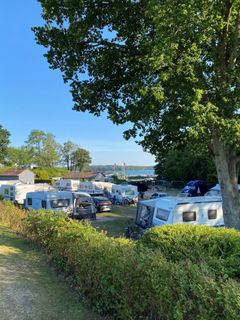 Fortsat flere campingpladser bliver certificeret med EU Ecolabel. Sønderballe Strand Camping er en af dem.