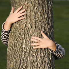 Fra 20. marts og året ud bruger vi flere ressourcer, end jorden naturligt kan nå at genskabe.