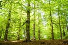 Hver anden dansker oplever mærkbare naturforringelser i hverdagen.