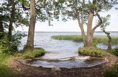 Mange danskere oplever, at mulighederne for at bade er blevet begrænset, og at det er blevet sværere at fange fisk.