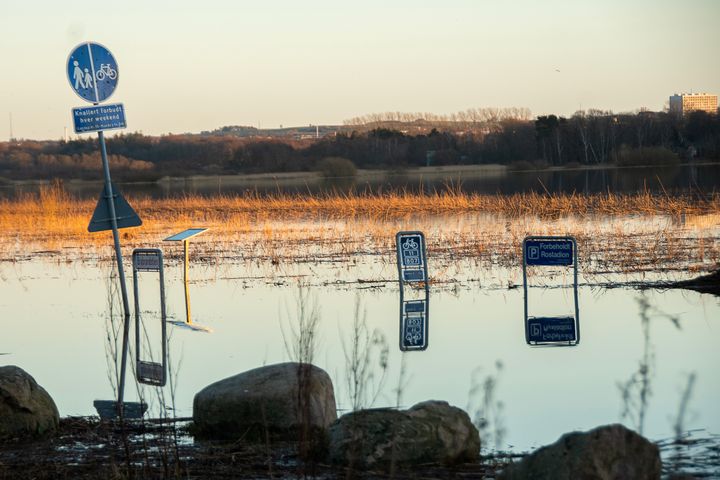 Størstedelen af danskerne har observeret klimaforandringer som fx øget regn og oversvømmelser i deres lokalområde.