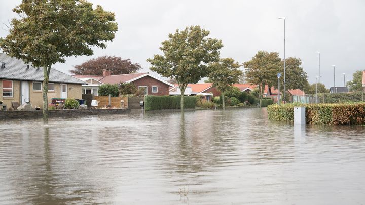 Klimaforandringer betyder, at de danske boligejere får travlt med at klimatilpasse deres boliger. Antallet af henvendelser på etablering af omfangsdræn er mere end fordoblet i år.
