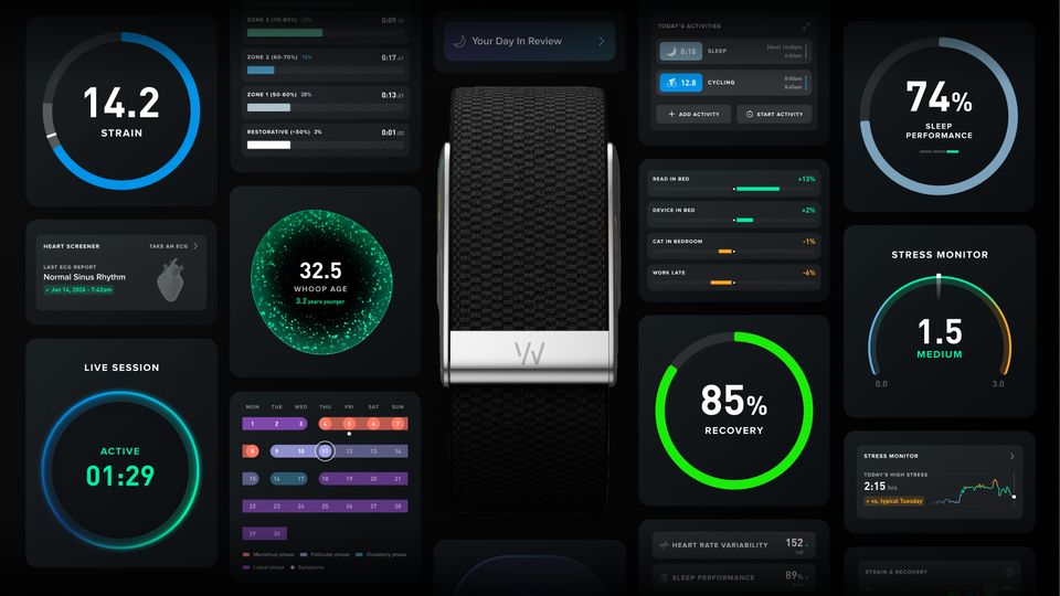 Whoop Language WHOOP Raises $575 Million at $10.1 Billion Valuation to Advance Global ...