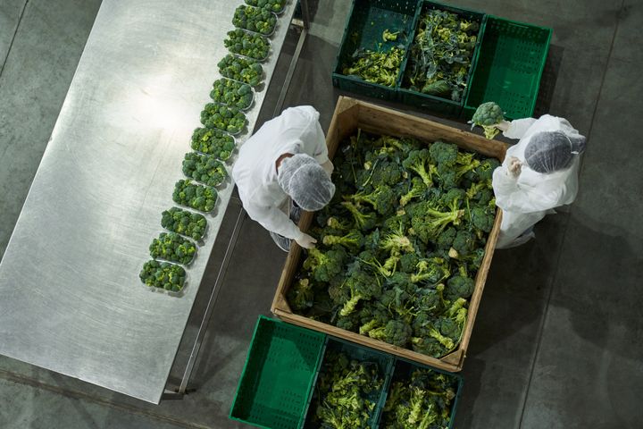 Alt for mange spildstrømme i fødevareproduktionen bliver ikke udnyttet. Det skal et nyt projekt fra Industriens Fond lave om på.