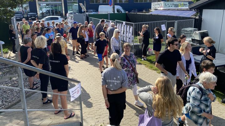 Folk står i kø og ankommer til Dyreværnet i Rødovre i 2024