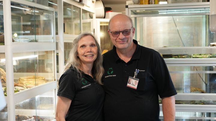 Pernille og Claus Thomsen foran terrariet i Krybdyrinternatet