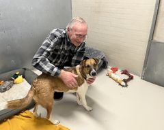 Billede af Bendt Refsgaard, der sidder på hug og klapper en mellemstørrelse hund på et af værelserne på internatet i Rødovre.