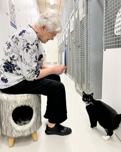 Billede af Joan Refsgaard siddende på en kattehule i kattestalden hos Dyreværnet i Rødovre. Ved siden af hende står en sort-hvid kat og venter på en godbid.