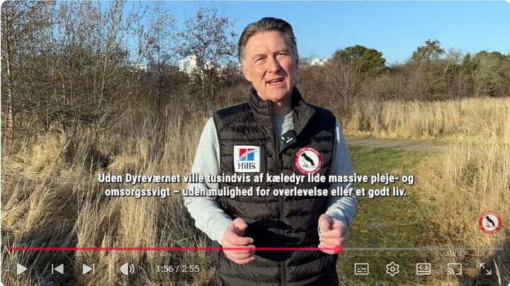 På billedet ses direktør for Dyreværnet Henrik Knaack på et skærmbillede fra en ny film om Dyreværnet.