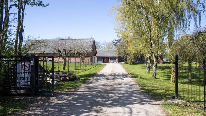 Grusvej fører til en gård med røde bygninger og træer på begge sider.