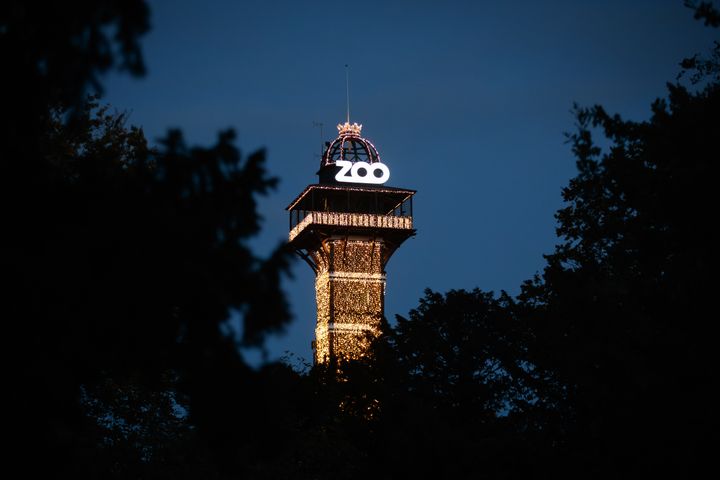 Der er en medarbejder i ZOO, der i løbet af aftenen holder øje med Haven oppe fra tårnet.