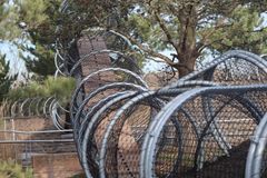 Ny 160 meter lang leopardsti