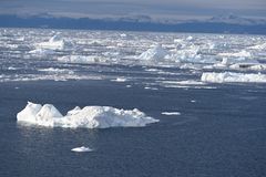 I dag står Grønland som frontløber inden for moderne fiskeri og innovation