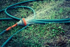 Små fejl i haven kan hurtigt blive dyre. En glemt sprinkler eller en utæt haveslange kan sende vandforbruget i vejret – uden at du opdager det. Foto: Brunata A/S