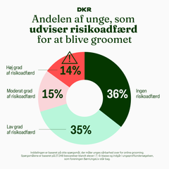 Unges risikoadfærd for at blive udsat for grooming - fra ungeprofilundersøgelsen, som foreningen BørnUngeLiv står bag.