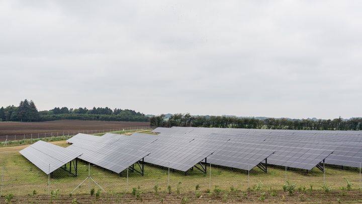 Solceller på en mark med skov omkring