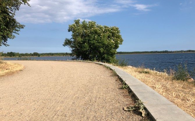 Betonkanten ved Valbyparken adskiller sig taktilt og visuelt fra stien og den øvrige belægning.