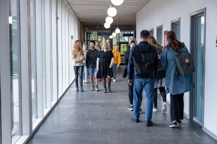 Miljøet på VIAs læreruddannelse i Skive