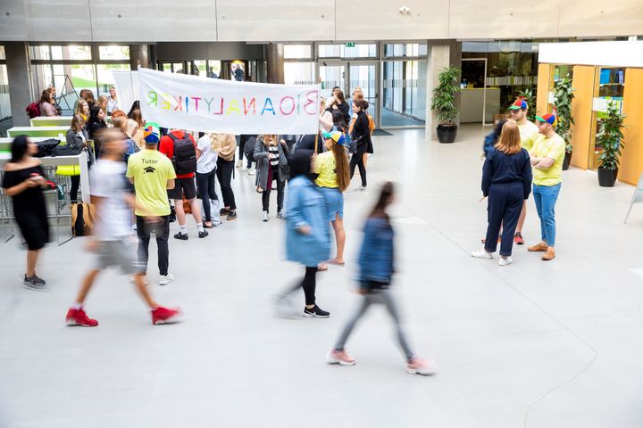 Studerende og tutorer i kasketter ses på campus til studiestart